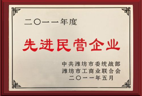 先进民营企业.jpg